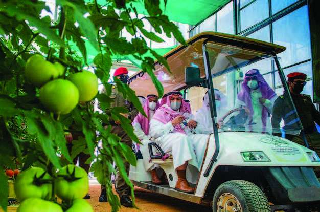 تقرير صحفي بصحيفة الوطن السعودية عن شركة محاصيل الزراعية